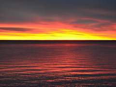 내년을 향해 떠나는 드라이브