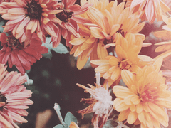 휘발하는 것만이 우리의 경전이다