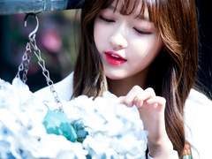 They think they’ve found the new Messiah