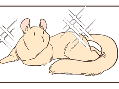 [현제유진] 보조배터리