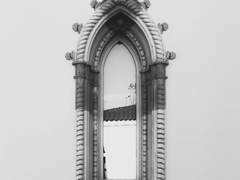 벨라 도나(bella donna)