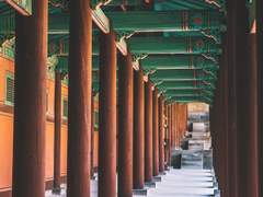 [해은] 꽃 본 나비 불을 헤아리랴