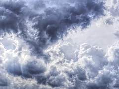 화룡점정 畵龍點睛 1.