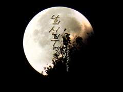 [정우서현] 나의 신부에게 -4