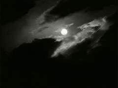 (정국/레오 빙의글) 공작 소녀의 기묘한 추리 17