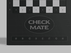 08. Checkmate