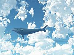 [ 서 한솔 | 상처 | cisM | 19 | 3 ]