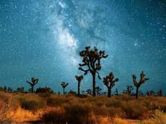 [리히에세] 별이 지던 그날 밤