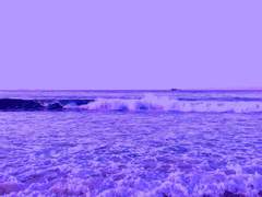 보잘것없는 인어의 여정