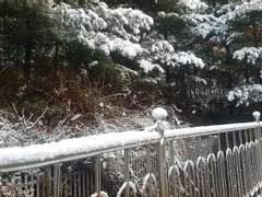 [군경] 눈 오는 날