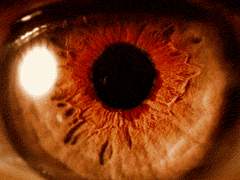 [순른] 아.파.트! #00