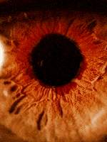 [SVT/순른] 아.파.트!