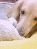 한자1기/스즈모토미유(鈴本美愉)