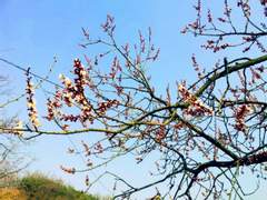 화평최윤 - 스며들다 3