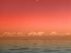 [윤홍] 연화 이야기