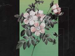 [찬백] The apple of my eye 04