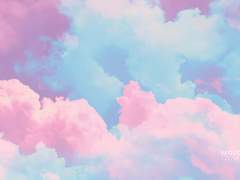 나래 사용 설명서🌿