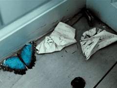 [화평최윤] 그 심연은 누구의 것이었나.