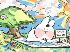 도토끼 일광욕