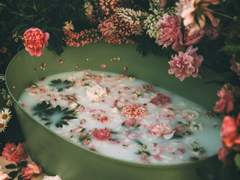 내 어린 워록과 늙은 타이탄