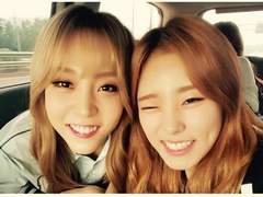 [단편/휜별/문휜] 아기 고양이