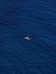 TRPG 시나리오 (awe)