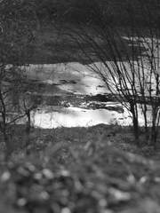 잿더미 속 크라운