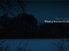 What a wonderful World II