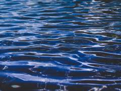 시로가네 타카시의 우울