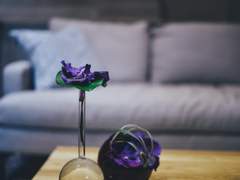 향이 없는 계절