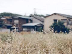 ワンダフルライフ