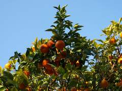 그저 한 꺼풀의 삶