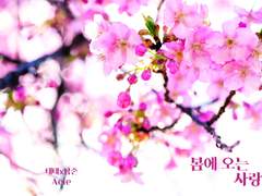 [뷔랩]봄에 오는 사랑