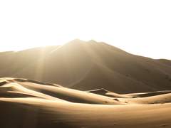 어느 열대야에 전하는 복음