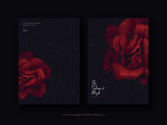 [제피아이ts]살로메의 가면 추가 후기