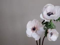 이별한다는 것은