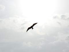 [중혁독자] 우리는 언젠가 만난다 (3)