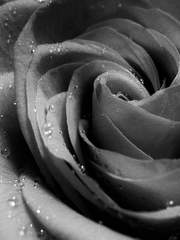 러브앤 프로듀서