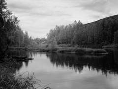 시호신 - 의식불명의 시호