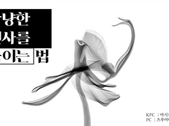 상냥한 천사를 죽이는 법 플레이 로그