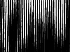 두려움이 목표를 잡아