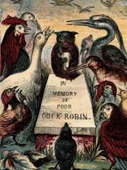 누가 로빈을 죽였나 (완)