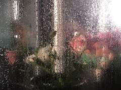 미뉴에트 中 (2)