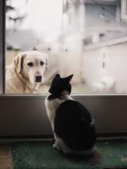 Your Fellow Loves You