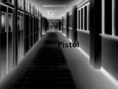 [토도바쿠] Pistol