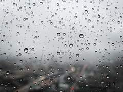 [페르무토] 그 여름이 포화한다