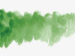 보잘것없는 인어의 여정