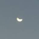 [표지 디자인] 잉어