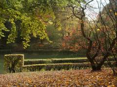 [아르센] Hello world/Life of X-1