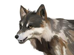 포토샵적응작) 늑대